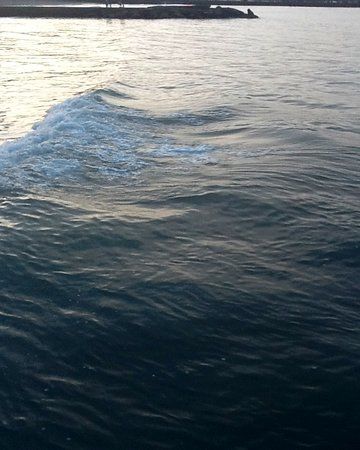 Paseo Costanero Sud Presidente Arturo Umberto Illia