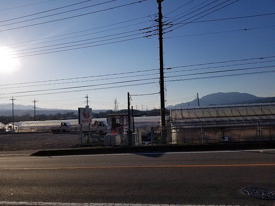 Suda Strawberry Farm