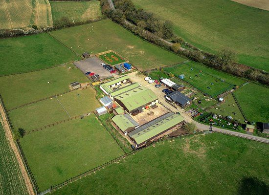 National Animal Welfare Trust