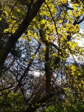 Trail View State Park