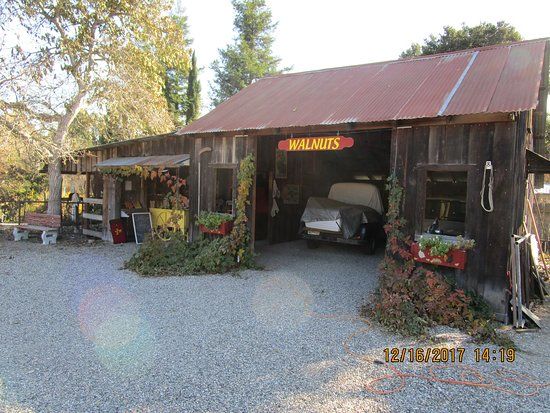 Morrell Nut and Berry Farm