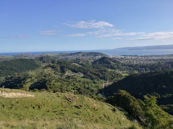 Te Kuri Farm Walkway