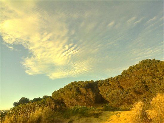 Painkalac Creek Nature Reserve