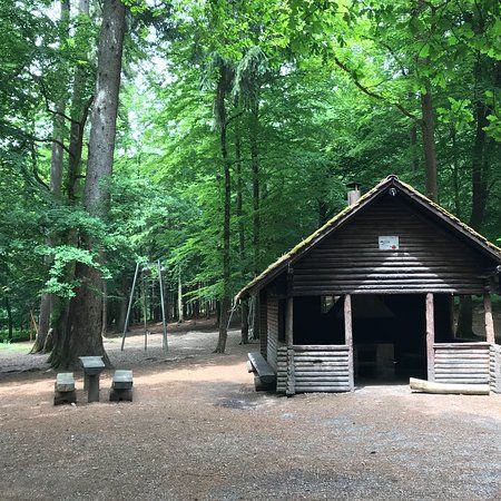 Wildfreigehege Locherholz