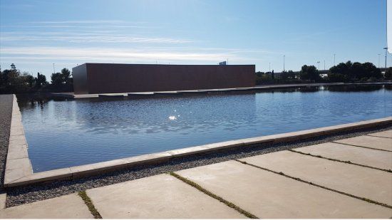 Museo de la Universidad