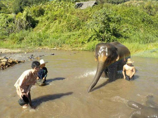 Maeklang Elephant Conservation Community