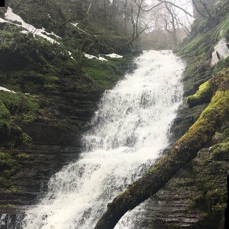 Water Break Its Neck