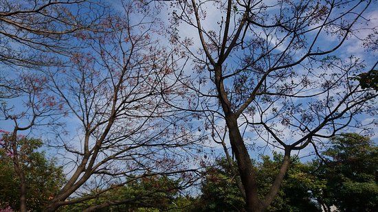 Chaoyanghuanbao Park