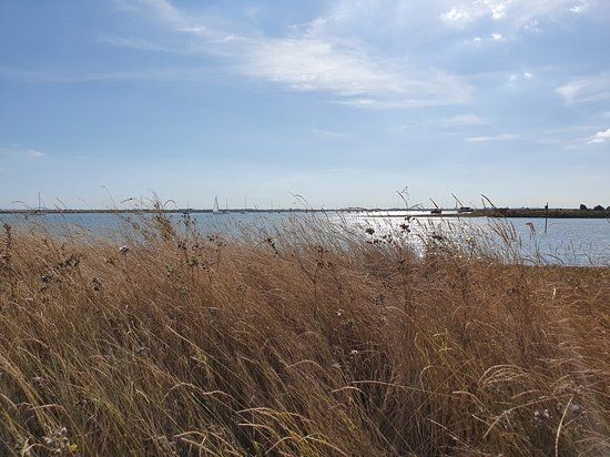 Wallasea Island Wild Coast