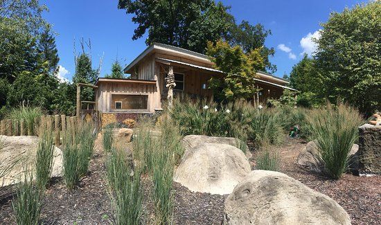 Ponds and Plants