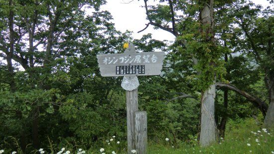 Oshinkosin Observation Deck