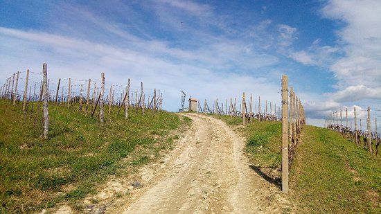 Panchina Gigante Verde Smeraldo
