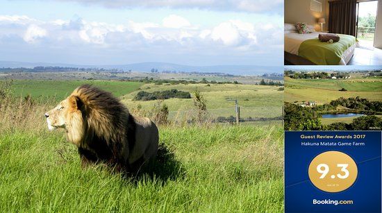Experience @ Hakuna Matata Game Farm