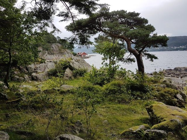 Arboretet og Botanisk Hage