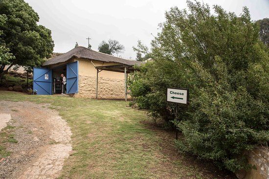 Marrakesh Cheese Farm
