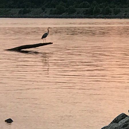 North East Community Park