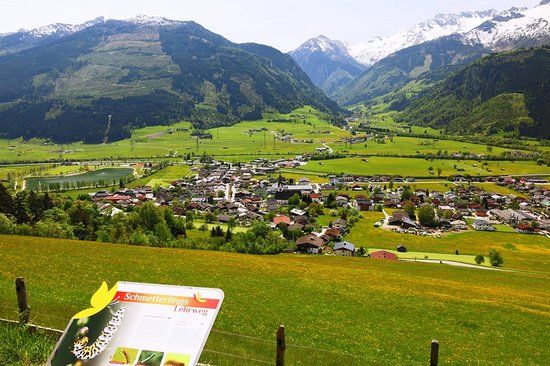 Schmetterlinglehrweg