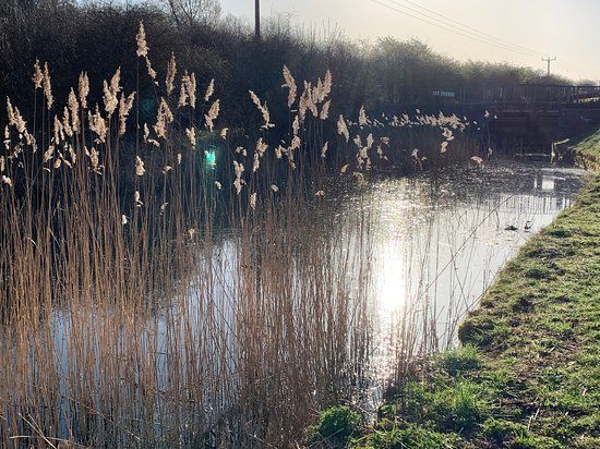 Cotgrave Country Park