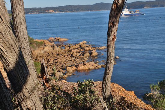 Bundian Way Story Walk