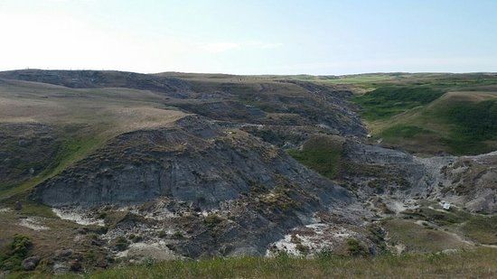 Devil's Coulee Dinosaur Heritage Museum