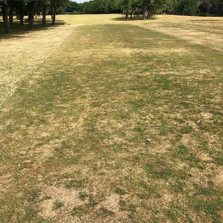 St Ibbs Golfbana