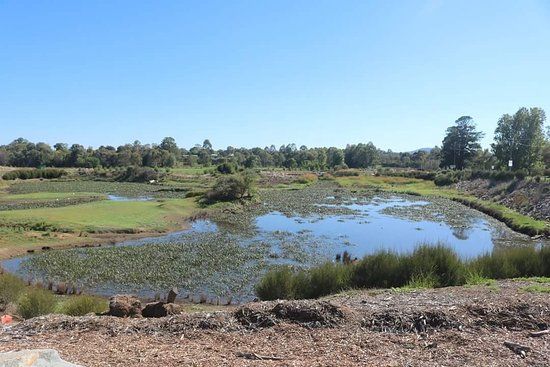 Goulburn Wetlands