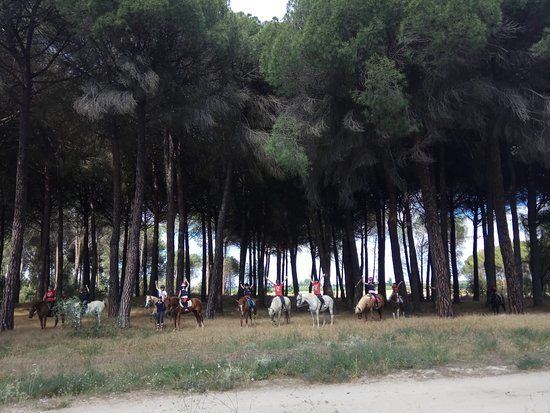 Centro Ecuestre Tordesillas