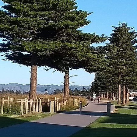 Oneroa cycleway