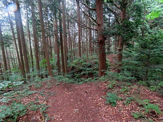 Fukushima Castle Ruins