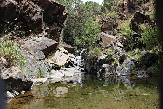 Charco de las Viñas