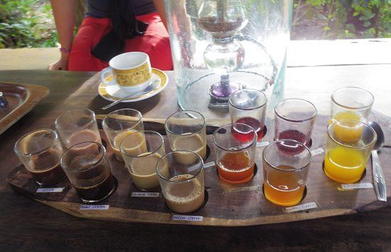 AlamSari Agrotourism