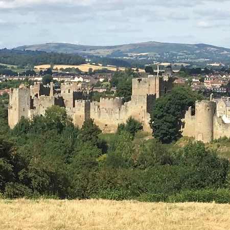 Whitcliffe Common Nature Reserve