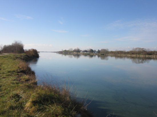 Plan d'Eaux des Guifettes