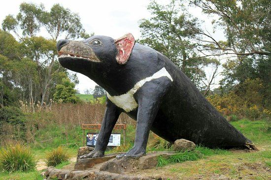 The Big Tasmanian Devil