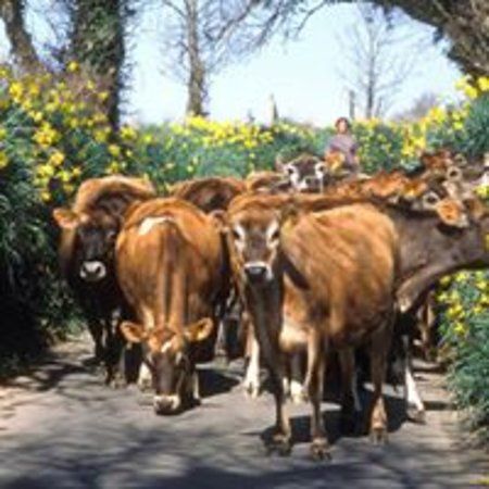 The Potato Shack @ Woodlands Farm