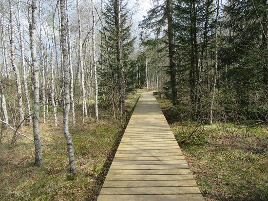 Tourbieres des Ponts-de-Martel