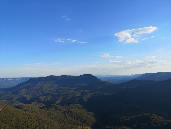 Lady Darley Lookout