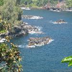 Local Culture Frozen Yogurt