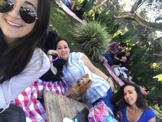 Smoked BBQ Pit Masters