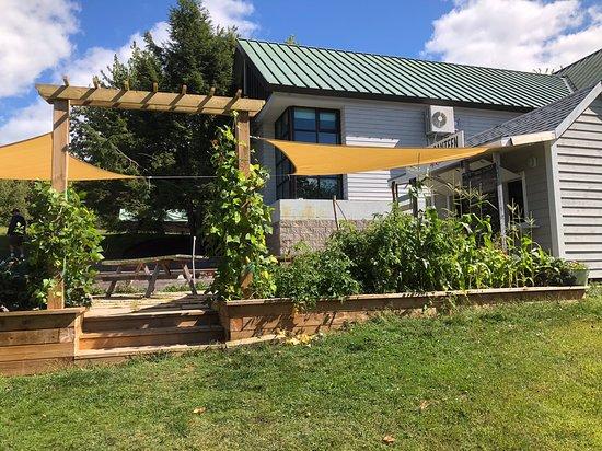 The Lockside Canteen by Lemon Dogs