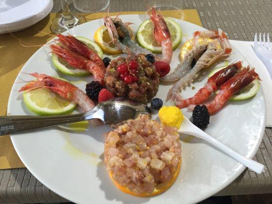 Il Pesce Fuor D'acqua