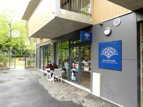 Ocean Tree Canadian Coffee and Store