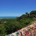 Manga Rosa Artesanato