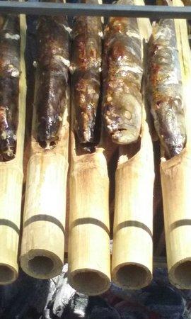 Pizzaria e Lanchonete Sabor D'sul