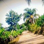 Restaurante Austria Do Vale