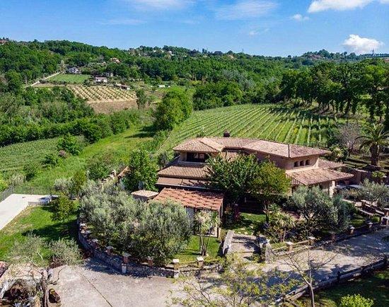 Agriturismo e Bed & Breakfast a casa di Susanna