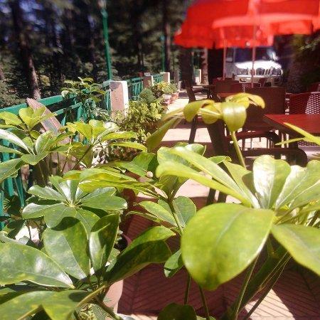 Woodstock Cafe & Restaurant