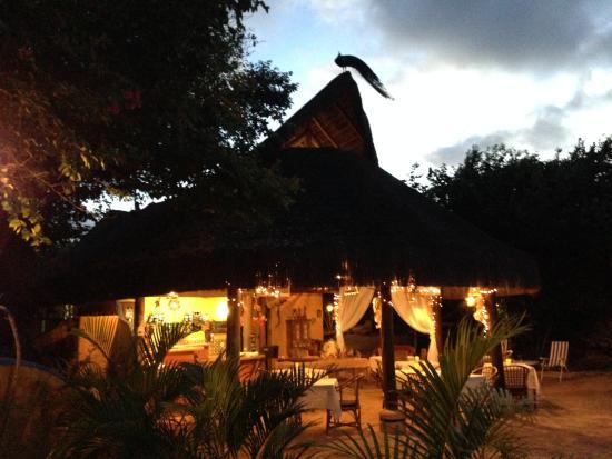 Spa Da Alma Gastronomia