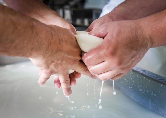 Caseificio Masseria Lupata