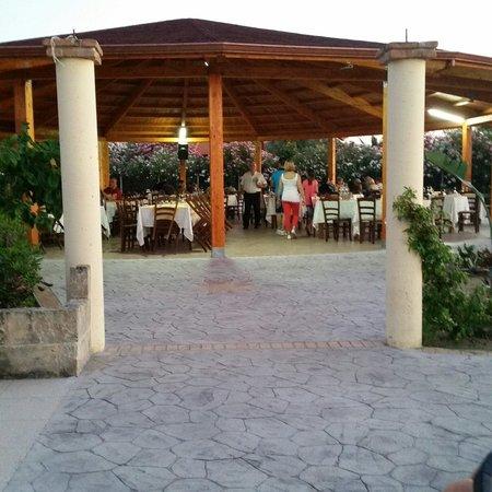 Restaurant Il Lungomare